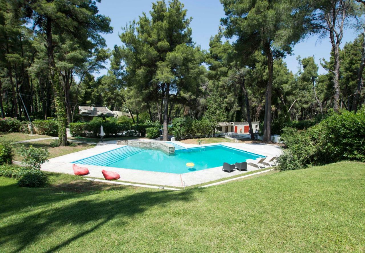 Villa Aurora In Sani With Garden And Pool Exteriér fotografie