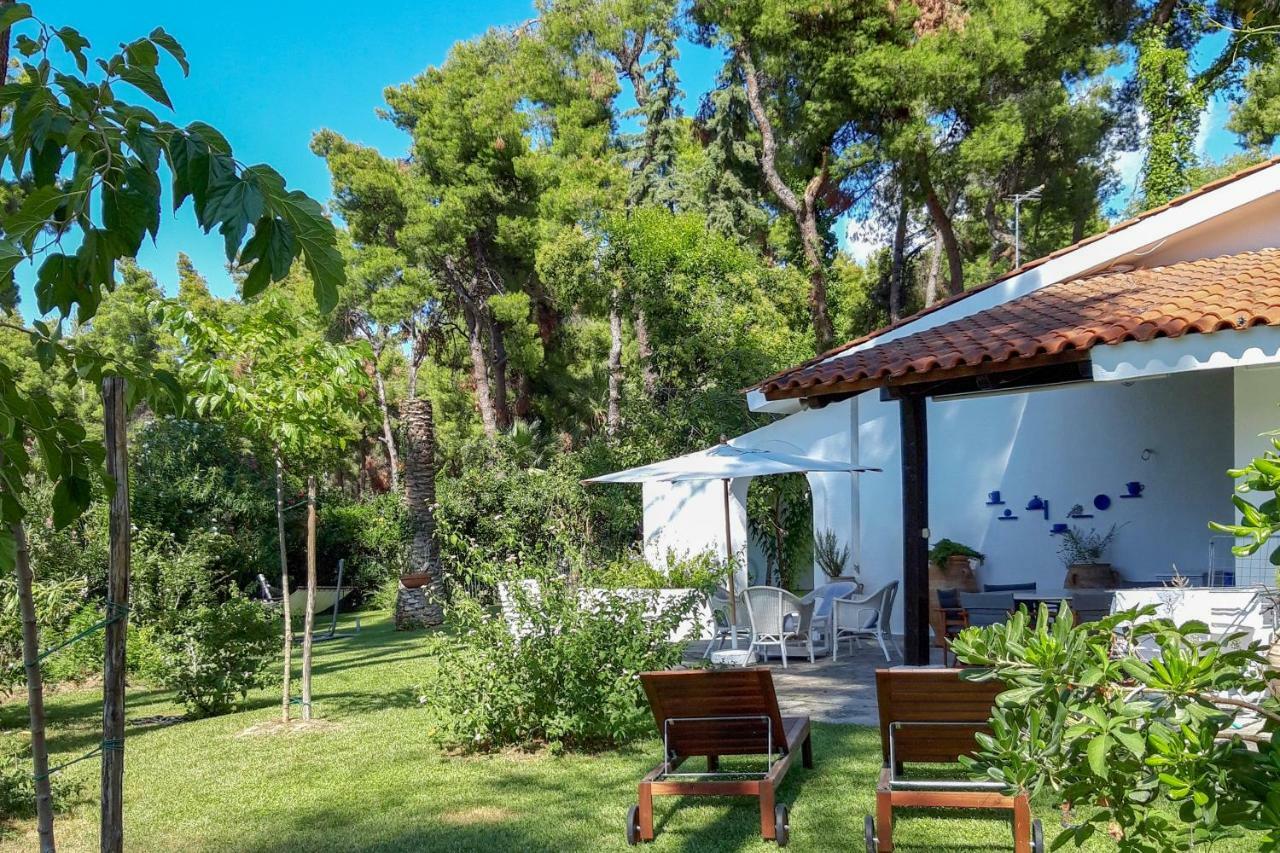 Villa Aurora In Sani With Garden And Pool Exteriér fotografie